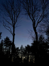 Load image into Gallery viewer, In the Gloaming Necklace (bright version)