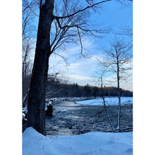 Load image into Gallery viewer, Rainbow Moonstone River Wood Cathedral Necklace